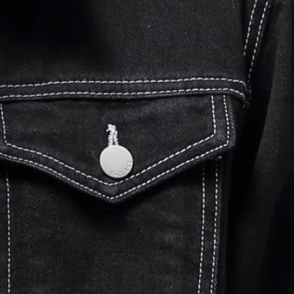 Darcio | Stylish denim winter jacket for men